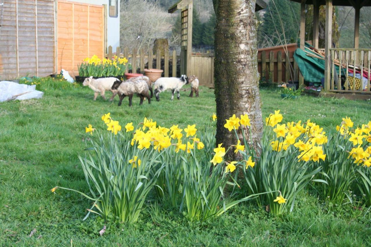 Barn Cottage - Farm Park Stay With Hot Tub Swansea Buitenkant foto